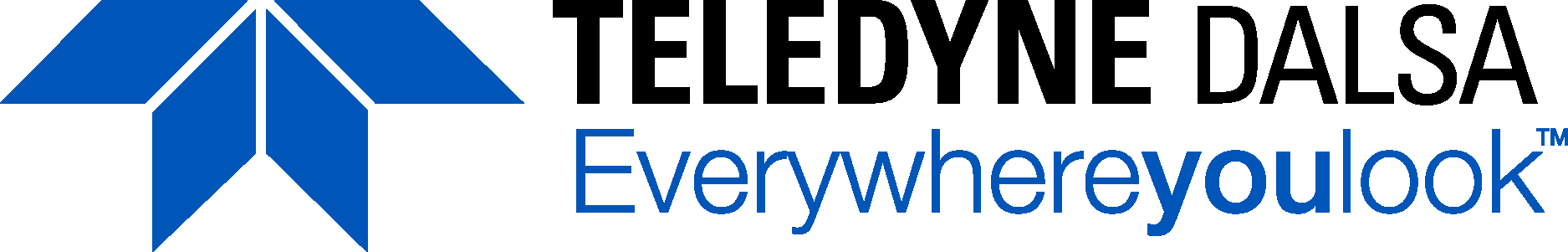 Teledyne DALSA Logo Vector Logo